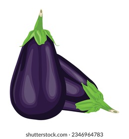 Ilustración vectorial de la vegetación de berenjenas en forma de caricatura plana. Violeta violeta morada brillante de Eggplant Solanum melongena alimento saludable nutritivo aislado en fondo blanco. Naturaleza comestible para la dieta