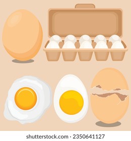 Vector illustration set of eggs in boxes, fried, boiled and cracked in cartoon flat style. Farmer product, organic farm food icons. Poultry production, chicken eggs isolated on white background