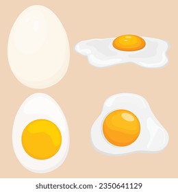 Vector illustration set of eggs in boxes, fried, boiled and cracked in cartoon flat style. Farmer product, organic farm food icons. Poultry production, chicken eggs isolated on white background