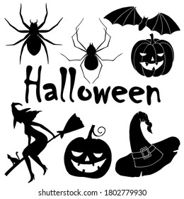 vector illustration, set of elements for Halloween, witch on a broom, pumpkin, spiders, bat, hat, isolate on a white background