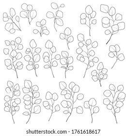 Vector Illustration, Set Of Eucalyptus Leaf Branches, Line Drawing In Black, Outline, For Wedding Design, Isolate On White Background