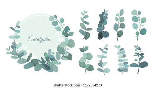 Vector illustration set of eucalyptus leafs and branches. Cute herbs for wedding greenery, decorative elements for invintations and greeting cards. Blue eucalyptus wreath, leaves and stems in flat