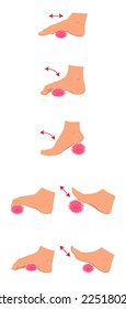 Vector illustration. A set of exercises for myofascial release for the feet with a studded ball. Rehabilitation training