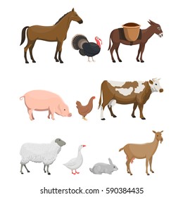 Vector illustration set of farm animals such as horse, turkey-cock, donkey, pig, chicken, cow, ewe, goose, rabbit and goat on white background. 