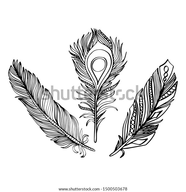 Vector illustration of a set of feathers in black and wight graphic