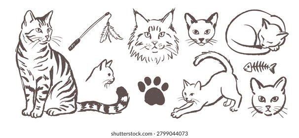 A vector illustration set featuring hand-drawn style cat motifs. The artwork utilizes clean dark-gray strokes on a white background to depict various.