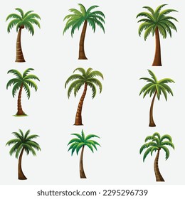 Vector Illustration Set Featuring Various Variants of Palm Trees, Isolated on a White Background