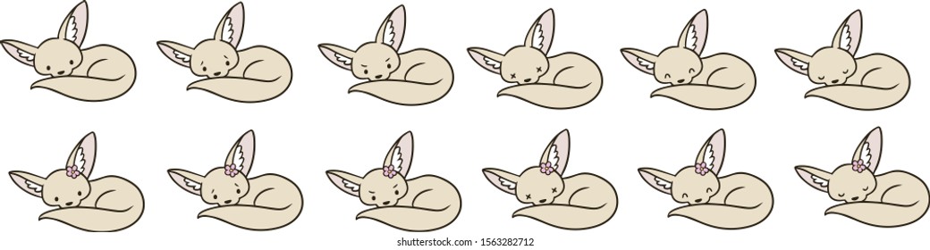 Vector illustration set of fennec