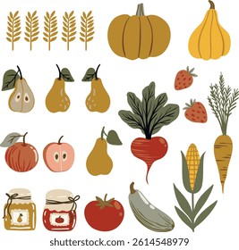 Vector illustration set in flat cartoon style with pumpkins, pears, apples, strawberries, wheat, carrots, zucchini, tomatoes, and beets. Isolated on white background. Cute and colorful food elements.