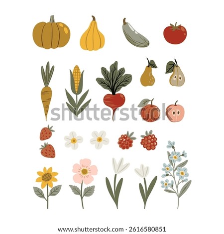 Vector illustration set in flat cartoon style featuring pumpkins, pears, apples, strawberries, wheat, carrots, zucchini, tomatoes, and beets. Isolated on white. Cute, colorful, and kid-friendly design