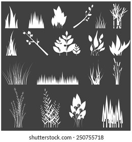 Vector illustration of a set of floral elements for design and decoration  - grass