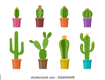 Vector illustration. Set of flowerpots. Cactus in pot on a white background.