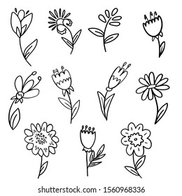 
vector illustration set of flowers
