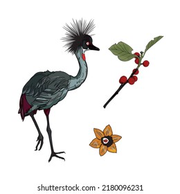 Vector illustration of a set of flowers and a crowned stork. Birds, berries and leaves as a blank for designers, logo, icon, print