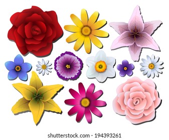 Vector illustration. Set of flowers of different colors