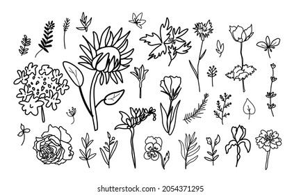 Vector Illustration set with Flowers in doodle style black line white background. Floral collection and clip art hand drawn.Designs for stickers, social media, packaging, web,postcards,posters.