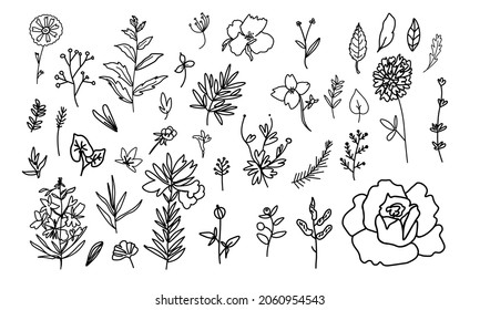 Vector Illustration set with Flowers in doodle style black line white background. Floral collection and clip art hand drawn.Designs for stickers, social media, packaging, web,postcards,posters.
