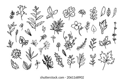 Ilustración vectorial con Flores en fondo blanco de línea negra estilo doodle. Colección de flores y dibujos a mano de dibujos animados.Diseños para pegatinas, medios sociales, empaquetado, web, postales, afiches.