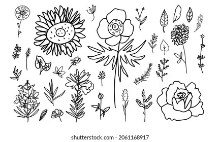 Vector Illustration set with Flowers in doodle style black line white background. Floral collection and clip art hand drawn.Designs for stickers, social media, packaging, web,postcards,posters.