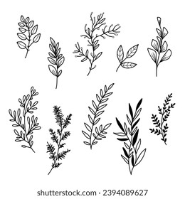 Vector illustration Set of flowers and leaves in doodle hand drawing style.