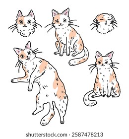 Vector illustration of a set with fluffy white and orange cats lying on their backs. They're sitting, sleeping, and smiling sweetly. Funny stickers of funny pets