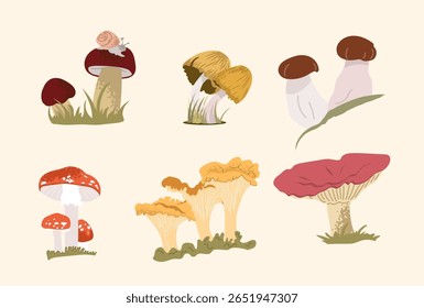Ilustração vetorial conjunto de cogumelos florestais em várias formas e cores. Inclui ágar-mosca, chanterelles, porcini e muito mais. Ideal para botânica, outono, ou tema de floresta