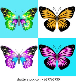Vector illustration. Set of four butterfly in different execution.