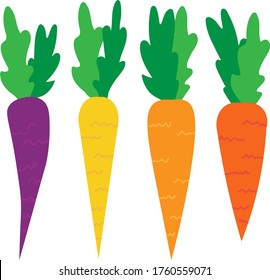 Vector illustration of a set of four colorful carrots with leaves. Purple, yellow, orange and red vegetables.