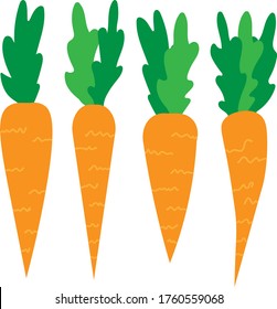 Vector illustration of a set of four orange carrots with leaves.