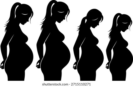 Conjunto de Ilustración vectorial de cuatro siluetas de mujeres embarazadas que muestran la maternidad y las diferentes etapas de la gestación.