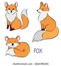Vector illustration set of Fox dogs in different poses. Hand drawn on white background.