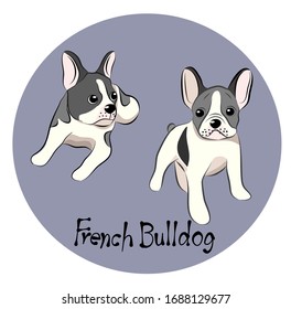 Vector illustration set of French Bulldog in different poses.