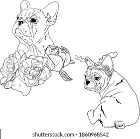 Vector illustration of a set of French Bulldog dogs in flowers and a hat with horns. Cute dogs blank for designers, elements, logo, icon, pet shop