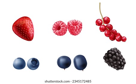 Ilustración vectorial de fresas frescas, 3d realistas, arándanos, frambuesa, mora, fresa y grosella rojiza. Ideal para diseños de alimentos, salud y naturaleza