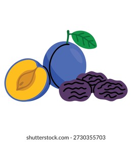 Vector illustration set of fresh and dried plums isolated on white background perfect for whole half fruit design and prune themed creative project