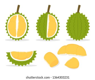 Vector illustration of set fresh durian isolated on white background