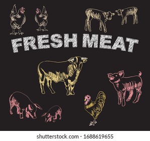 conjunto de ilustraciones vectoriales de carne fresca