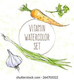 Vector illustration; set of fresh vegetables - carrot, green onion, garlic, parsley 