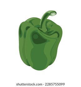 Vector illustration set of fresh whole and sliced sweet green pepper isolated on white background. Side view. Cooking ingredient