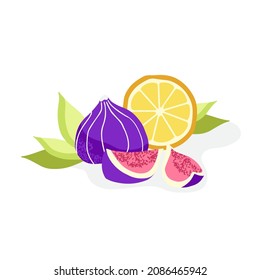 Vector illustration set of fruits: figs and orange