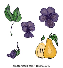 Vector illustration of a set of fruits, pears, violets, leaves. Logo, icon, fashion illustration, blank for designers,