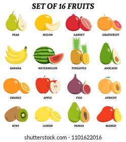 Vector illustration of set of fruits with signatures