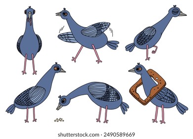 Vector illustration of a set of funny cartoon pigeons