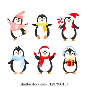 Vector illustration set of funny Christmas penguins in warm clothes. Cute penguins collection for winter holidays greeting cards design in cartoon flat style isolated on white background.