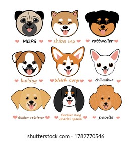 Vektorgrafik-Set mit lustigen, süßen Chibi-Hunden verschiedener Rassen. Das Bild zeigt Hunde der Shiba Inu, Poodle, Rottweiler, Walish Corgi, Golden Retriever, Chihuahua, Spaniel, Bulldog und Pug