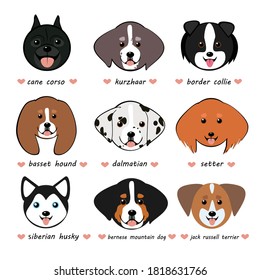 vector illustration set with funny cute chibi dogs of different breeds. The picture shows dogs of the cane corso, kurzhaar, border collie, basset hound, dalmatian, setter, husky, jack russell terrier
