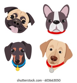 Vector illustration, set of funny head of purebred dogs, on a white background. Different type head of cartoon dogs. 