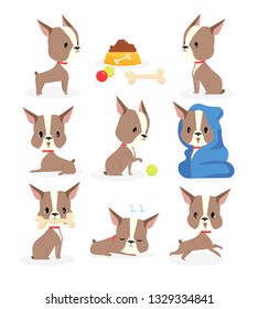 Vector illustration set of funny puppy in different actions and positions, dog daily routine collection, cute little puppy s everyday activity in cartoon flat style.
