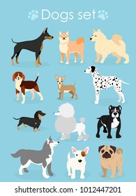 Vector illustration, set of funny purebred dogs, on a light blue background.