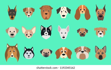 Vector illustration, set of funny purebred dogs on a turquoise background